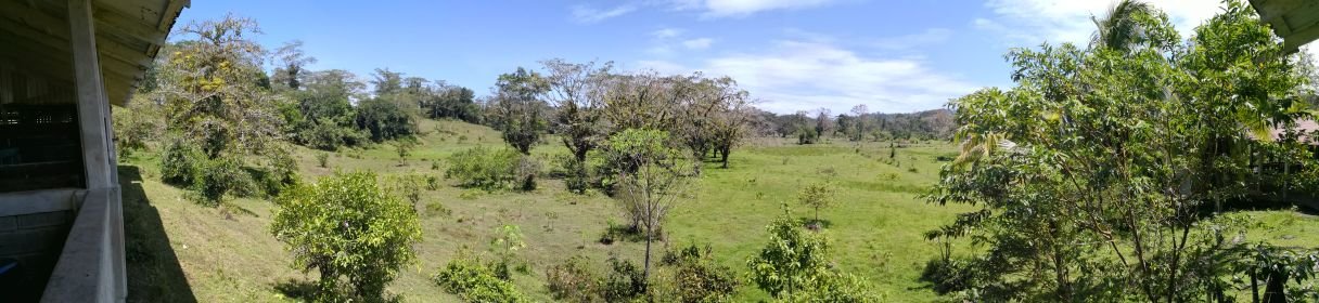 Agropecuaria La Aurora