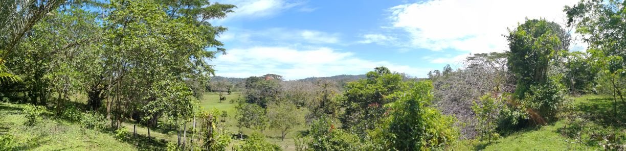 Agropecuaria La Aurora