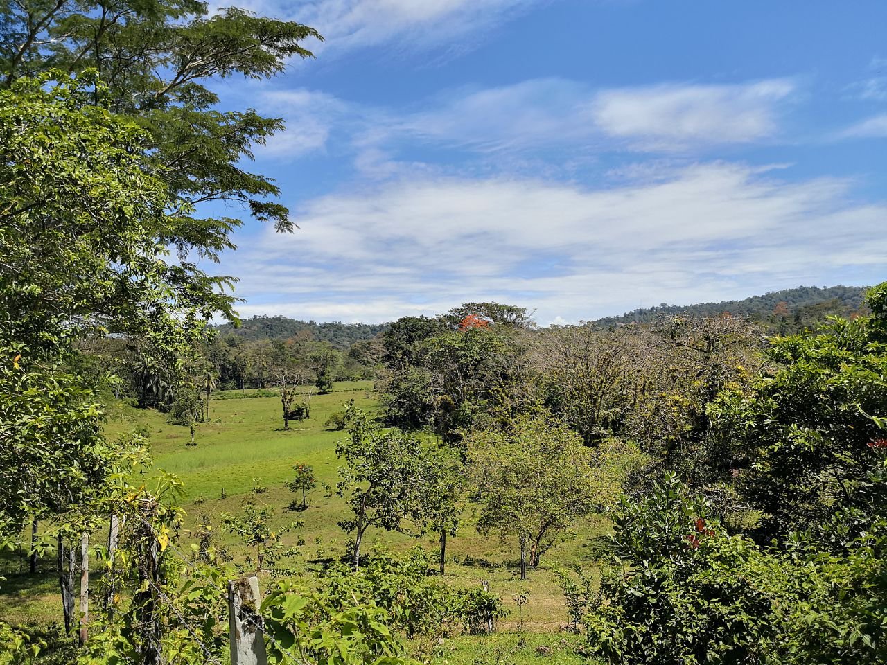 Agropecuaria La Aurora