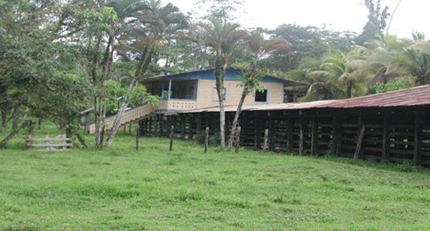 Agropecuaria La Aurora