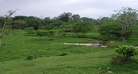 Agropecuaria La Aurora