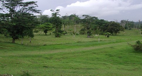 Agropecuaria La Aurora