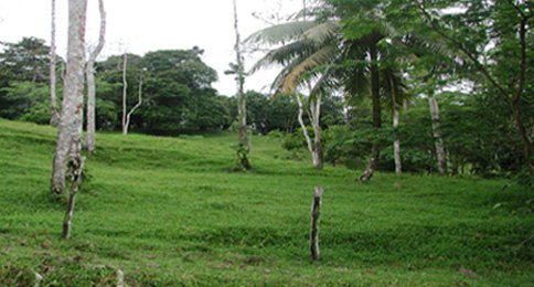 Agropecuaria La Aurora