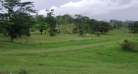 Agropecuaria La Aurora