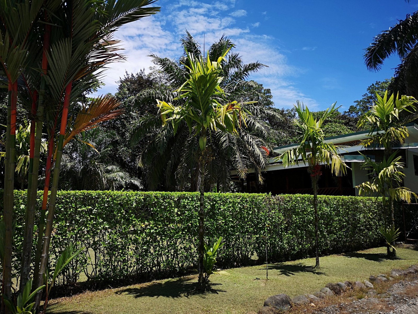 Residencial Real Caribe